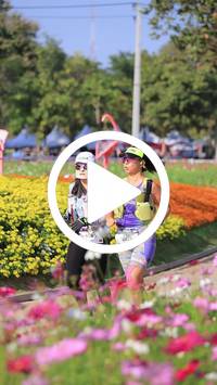 BIB:  <button type="button" onclick="openModal(27588439)" class="btn btn-primary btn-sm float-right" data-toggle="modal" data-target=".modal-high-quality">
                <i class="fa fa-download"></i> Download
                </button>